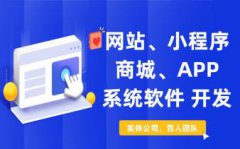 微信小程序、公众号、APP开发、企业咨询